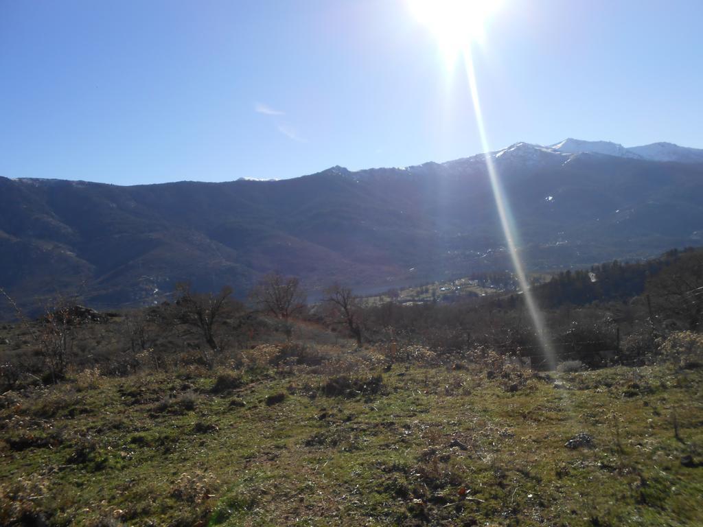 Les De Lozzi